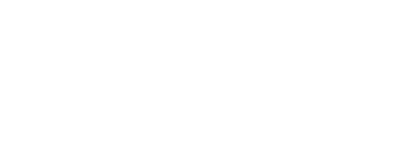 Boss Ladys